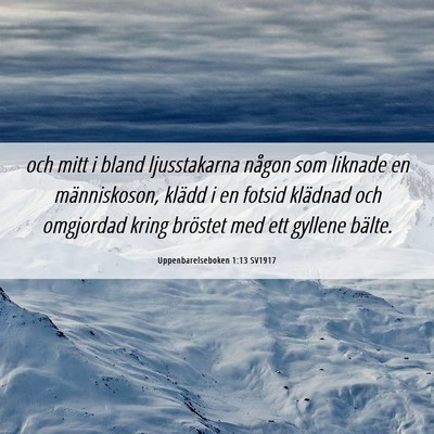 Picture 06 - Uppenbarelseboken 1:13 SV1917 - och mitt i bland ljusstakarna någon som liknade - Bible Verse Picture