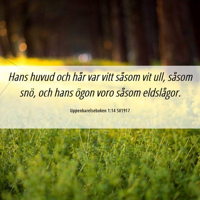 Picture 06 - Uppenbarelseboken 1:14 SV1917 - Hans huvud och hår var vitt såsom vit ull, - Bible Verse Picture