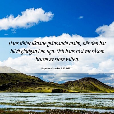 Picture 06 - Uppenbarelseboken 1:15 SV1917 - Hans fötter liknade glänsande malm, när den - Bible Verse Picture