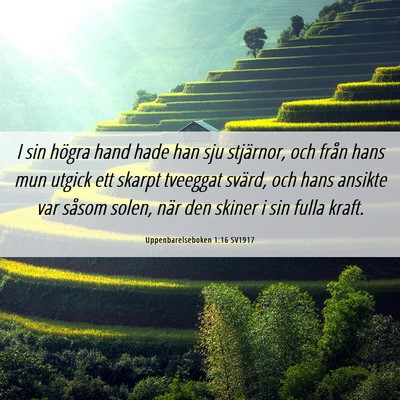 Picture 06 - Uppenbarelseboken 1:16 SV1917 - I sin högra hand hade han sju stjärnor, och - Bible Verse Picture