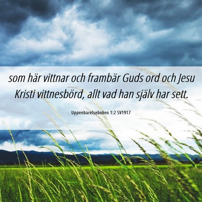 Picture 06 - Uppenbarelseboken 1:2 SV1917 - som här vittnar och frambär Guds ord och Jesu - Bible Verse Picture