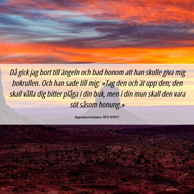 Picture 06 - Uppenbarelseboken 10:9 SV1917 - Då gick jag bort till ängeln och bad honom att - Bible Verse Picture