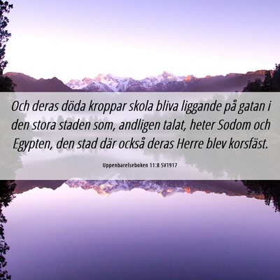 Picture 06 - Uppenbarelseboken 11:8 SV1917 - Och deras döda kroppar skola bliva liggande på - Bible Verse Picture
