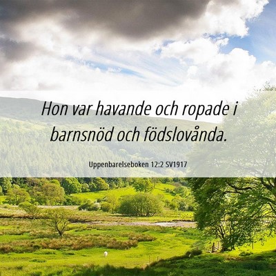 Picture 06 - Uppenbarelseboken 12:2 SV1917 - Hon var havande och ropade i barnsnöd och - Bible Verse Picture