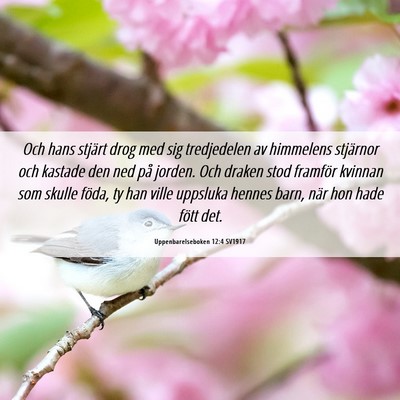Picture 06 - Uppenbarelseboken 12:4 SV1917 - Och hans stjärt drog med sig tredjedelen av - Bible Verse Picture