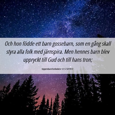 Picture 06 - Uppenbarelseboken 12:5 SV1917 - Och hon födde ett barn gossebarn, som en gång - Bible Verse Picture