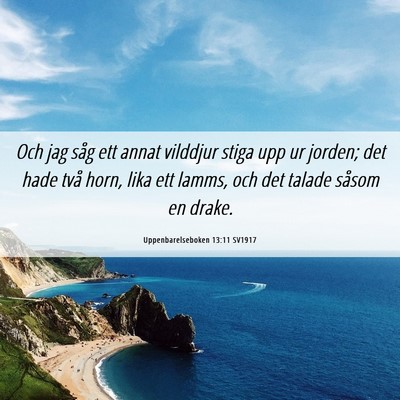 Picture 06 - Uppenbarelseboken 13:11 SV1917 - Och jag såg ett annat vilddjur stiga upp ur - Bible Verse Picture
