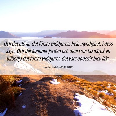Picture 06 - Uppenbarelseboken 13:12 SV1917 - Och det utövar det första vilddjurets hela - Bible Verse Picture