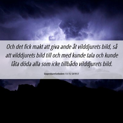 Picture 06 - Uppenbarelseboken 13:15 SV1917 - Och det fick makt att giva ande åt vilddjurets - Bible Verse Picture