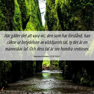 Picture 06 - Uppenbarelseboken 13:18 SV1917 - Här gäller det att vara vis; den som har - Bible Verse Picture