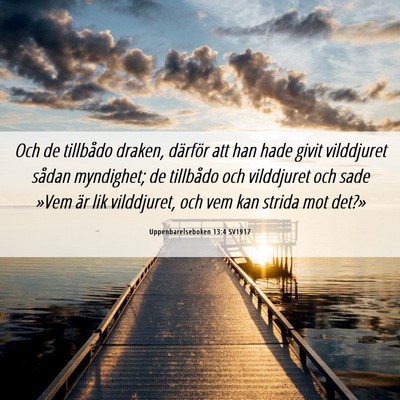 Picture 06 - Uppenbarelseboken 13:4 SV1917 - Och de tillbådo draken, därför att han hade - Bible Verse Picture