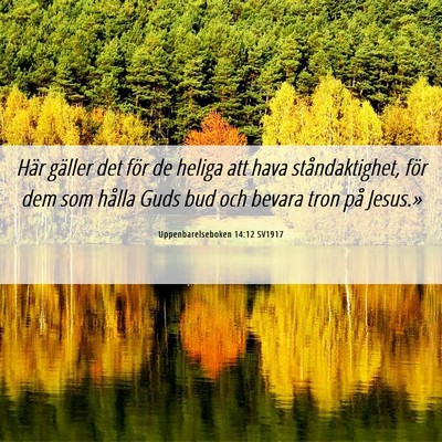 Picture 06 - Uppenbarelseboken 14:12 SV1917 - Här gäller det för de heliga att hava - Bible Verse Picture
