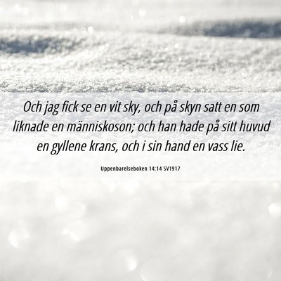 Picture 06 - Uppenbarelseboken 14:14 SV1917 - Och jag fick se en vit sky, och på skyn satt en - Bible Verse Picture