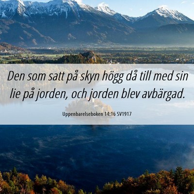 Picture 06 - Uppenbarelseboken 14:16 SV1917 - Den som satt på skyn högg då till med sin lie - Bible Verse Picture
