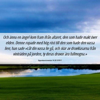 Picture 06 - Uppenbarelseboken 14:18 SV1917 - Och ännu en ängel kom fram ifrån altaret, den - Bible Verse Picture