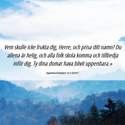 Picture 06 - Uppenbarelseboken 15:4 SV1917 - Vem skulle icke frukta dig, Herre, och prisa ditt - Bible Verse Picture