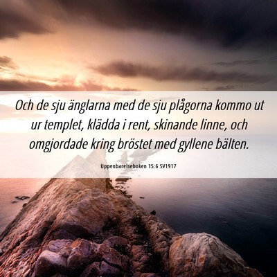 Picture 06 - Uppenbarelseboken 15:6 SV1917 - Och de sju änglarna med de sju plågorna kommo - Bible Verse Picture