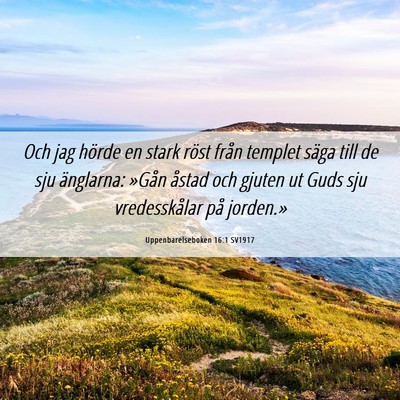 Picture 06 - Uppenbarelseboken 16:1 SV1917 - Och jag hörde en stark röst från templet säga - Bible Verse Picture