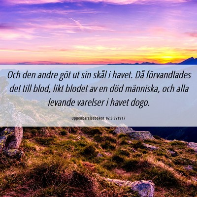 Picture 06 - Uppenbarelseboken 16:3 SV1917 - Och den andre göt ut sin skål i havet. Då - Bible Verse Picture
