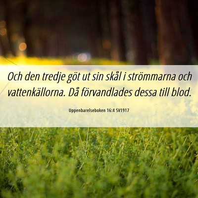 Picture 06 - Uppenbarelseboken 16:4 SV1917 - Och den tredje göt ut sin skål i strömmarna - Bible Verse Picture