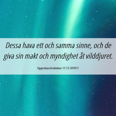 Picture 06 - Uppenbarelseboken 17:13 SV1917 - Dessa hava ett och samma sinne, och de giva sin - Bible Verse Picture