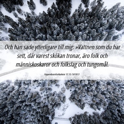 Picture 06 - Uppenbarelseboken 17:15 SV1917 - Och han sade ytterligare till mig: »Vattnen som - Bible Verse Picture