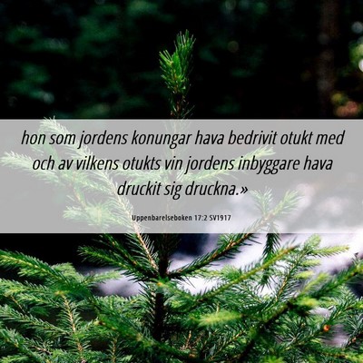Picture 06 - Uppenbarelseboken 17:2 SV1917 - hon som jordens konungar hava bedrivit otukt med - Bible Verse Picture