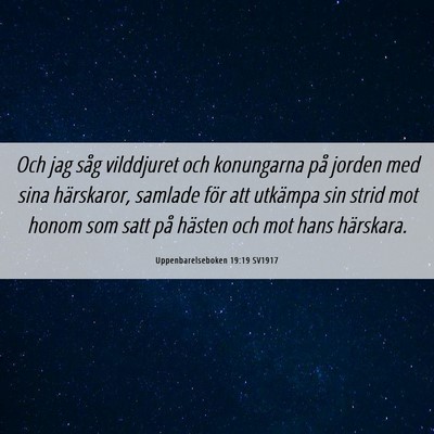 Picture 06 - Uppenbarelseboken 19:19 SV1917 - Och jag såg vilddjuret och konungarna på jorden - Bible Verse Picture