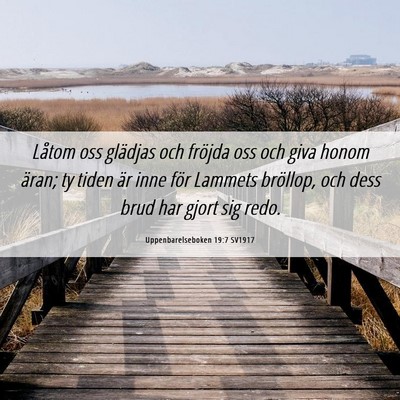Picture 06 - Uppenbarelseboken 19:7 SV1917 - Låtom oss glädjas och fröjda oss och giva - Bible Verse Picture
