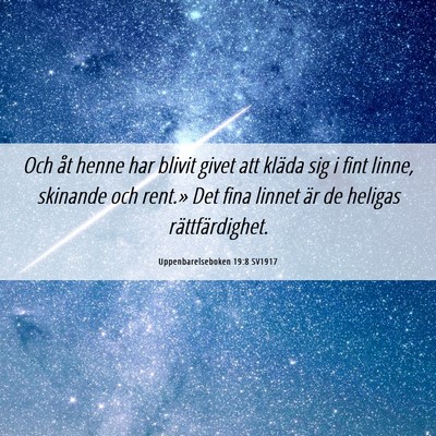 Picture 06 - Uppenbarelseboken 19:8 SV1917 - Och åt henne har blivit givet att kläda sig i - Bible Verse Picture