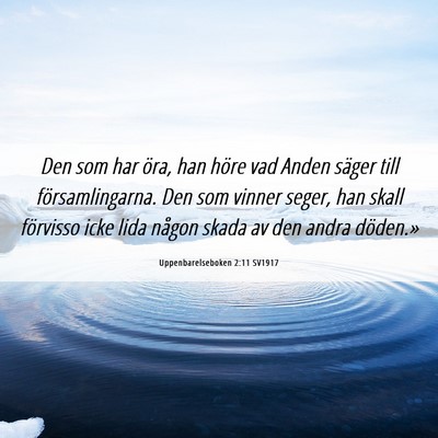 Picture 06 - Uppenbarelseboken 2:11 SV1917 - Den som har öra, han höre vad Anden säger till - Bible Verse Picture