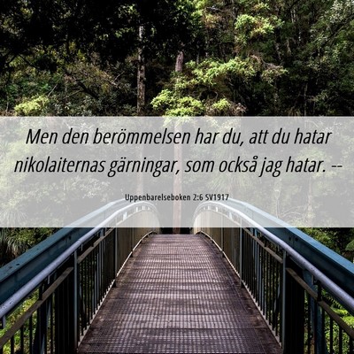 Picture 06 - Uppenbarelseboken 2:6 SV1917 - Men den berömmelsen har du, att du hatar - Bible Verse Picture