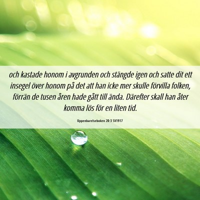 Picture 06 - Uppenbarelseboken 20:3 SV1917 - och kastade honom i avgrunden och stängde igen - Bible Verse Picture