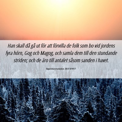 Picture 06 - Uppenbarelseboken 20:8 SV1917 - Han skall då gå ut för att förvilla de folk - Bible Verse Picture