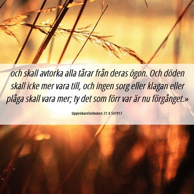 Picture 06 - Uppenbarelseboken 21:4 SV1917 - och skall avtorka alla tårar från deras ögon. - Bible Verse Picture