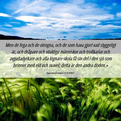 Picture 06 - Uppenbarelseboken 21:8 SV1917 - Men de fega och de otrogna, och de som hava gjort - Bible Verse Picture