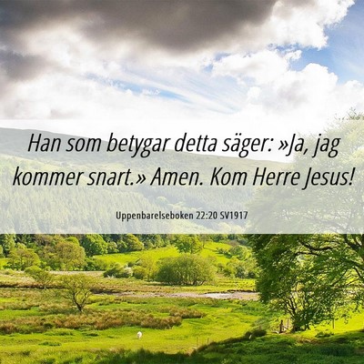 Picture 06 - Uppenbarelseboken 22:20 SV1917 - Han som betygar detta säger: »Ja, jag kommer - Bible Verse Picture