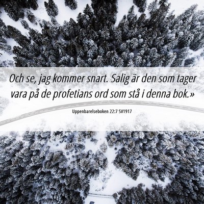 Picture 06 - Uppenbarelseboken 22:7 SV1917 - Och se, jag kommer snart. Salig är den som tager - Bible Verse Picture