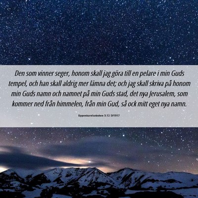 Picture 06 - Uppenbarelseboken 3:12 SV1917 - Den som vinner seger, honom skall jag göra till - Bible Verse Picture