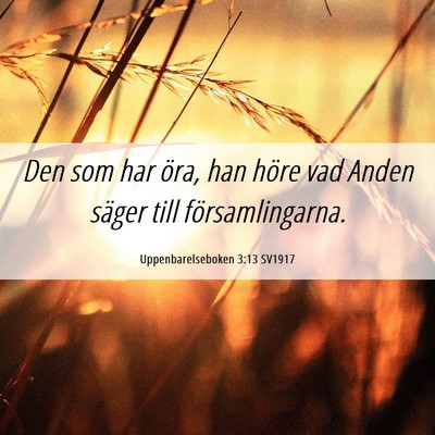 Picture 06 - Uppenbarelseboken 3:13 SV1917 - Den som har öra, han höre vad Anden säger till - Bible Verse Picture