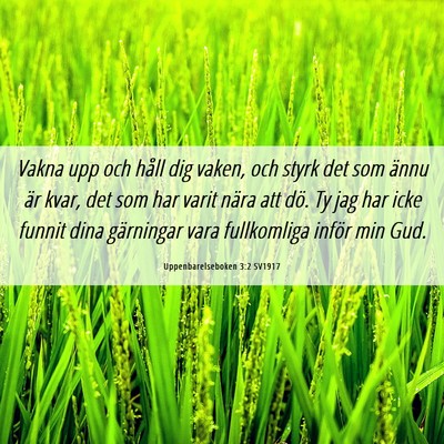 Picture 06 - Uppenbarelseboken 3:2 SV1917 - Vakna upp och håll dig vaken, och styrk det som - Bible Verse Picture