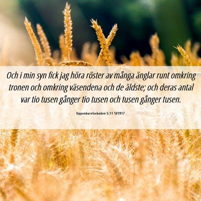 Picture 06 - Uppenbarelseboken 5:11 SV1917 - Och i min syn fick jag höra röster av många - Bible Verse Picture