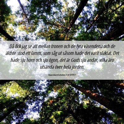 Picture 06 - Uppenbarelseboken 5:6 SV1917 - Då fick jag se att mellan tronen och de fyra - Bible Verse Picture