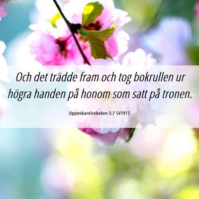 Picture 06 - Uppenbarelseboken 5:7 SV1917 - Och det trädde fram och tog bokrullen ur högra - Bible Verse Picture