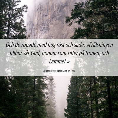 Picture 06 - Uppenbarelseboken 7:10 SV1917 - Och de ropade med hög röst och sade: - Bible Verse Picture