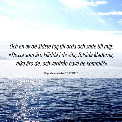 Picture 06 - Uppenbarelseboken 7:13 SV1917 - Och en av de äldste tog till orda och sade till - Bible Verse Picture
