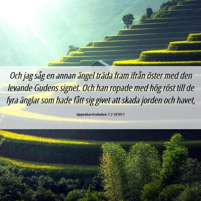 Picture 06 - Uppenbarelseboken 7:2 SV1917 - Och jag såg en annan ängel träda fram ifrån - Bible Verse Picture