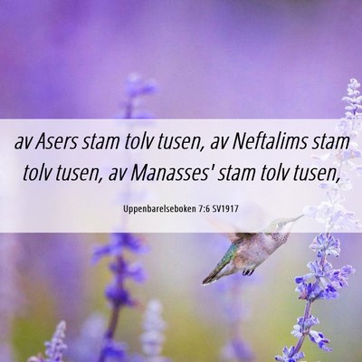 Picture 06 - Uppenbarelseboken 7:6 SV1917 - av Asers stam tolv tusen, av Neftalims stam tolv - Bible Verse Picture
