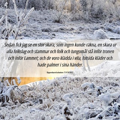 Picture 06 - Uppenbarelseboken 7:9 SV1917 - Sedan fick jag se en stor skara, som ingen kunde - Bible Verse Picture
