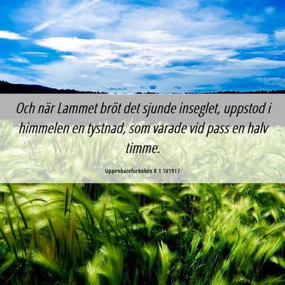 Picture 06 - Uppenbarelseboken 8:1 SV1917 - Och när Lammet bröt det sjunde inseglet, - Bible Verse Picture
